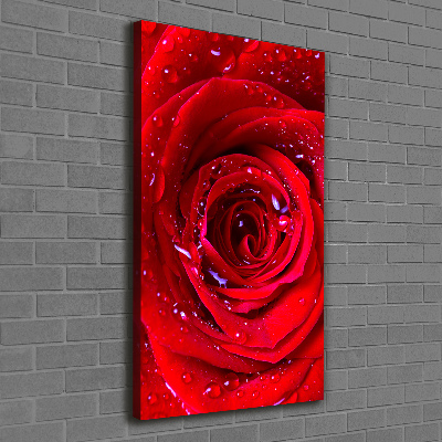 Cuadro canvas decorativo para salón vertical Rosa roja