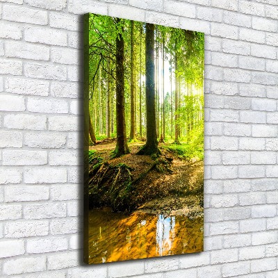 Cuadro moderno en lienzo resistente uv vertical El sol en el bosque