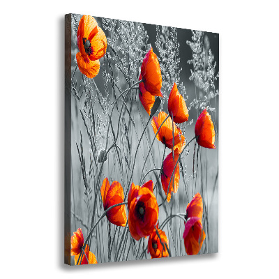 Foto obraz na płótnie do salonu pionowy Polne maki