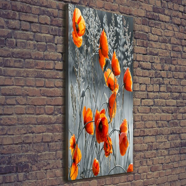 Fotografía en lienzo vertical Amapolas de campo