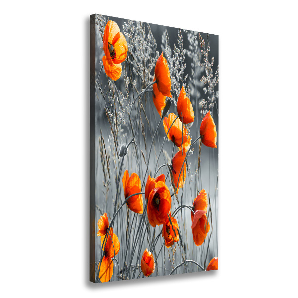 Fotografía en lienzo vertical Amapolas de campo
