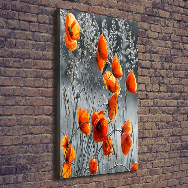 Fotografía en lienzo vertical Amapolas de campo