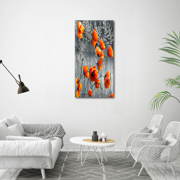 Fotografía en lienzo vertical Amapolas de campo