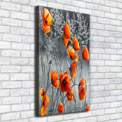 Fotografía en lienzo vertical Amapolas de campo