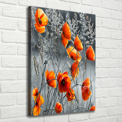 Fotografía en lienzo vertical Amapolas de campo