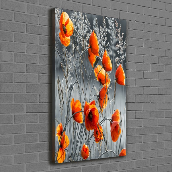 Fotografía en lienzo vertical Amapolas de campo