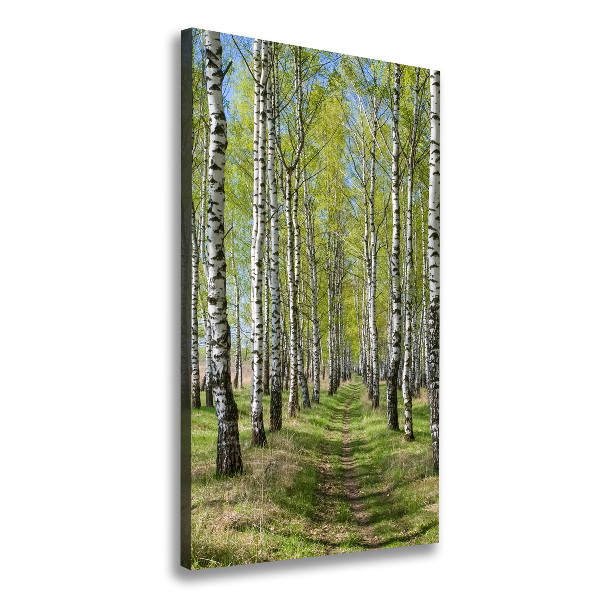 Cuadro canvas decorativo para salón vertical bosque de abedules