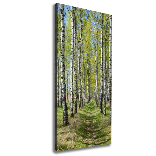 Cuadro canvas decorativo para salón vertical bosque de abedules