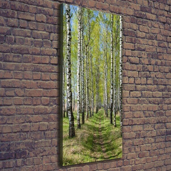 Cuadro canvas decorativo para salón vertical bosque de abedules