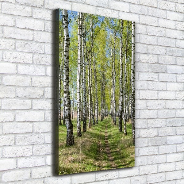 Cuadro canvas decorativo para salón vertical bosque de abedules