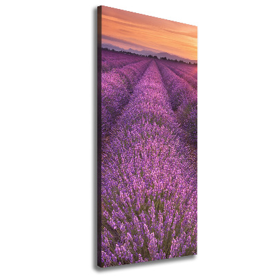 Cuadro moderno en lienzo resistente uv vertical campo de lavanda