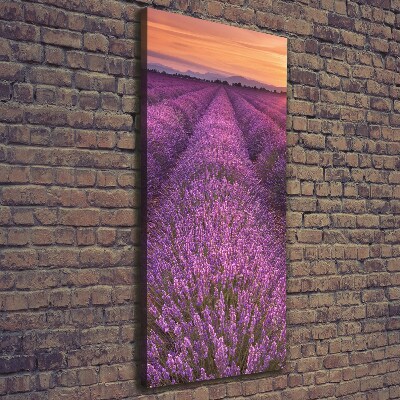 Cuadro moderno en lienzo resistente uv vertical campo de lavanda