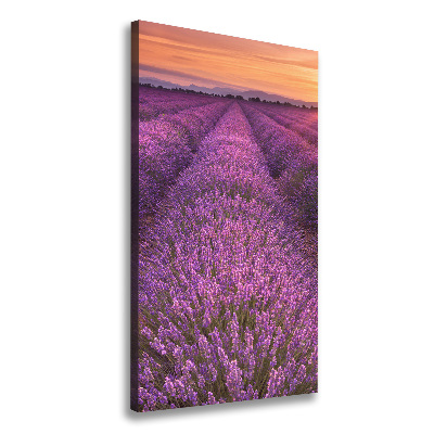 Cuadro moderno en lienzo resistente uv vertical campo de lavanda