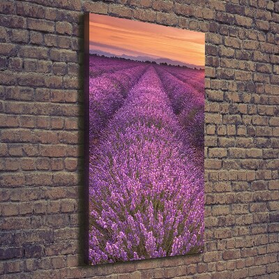 Cuadro moderno en lienzo resistente uv vertical campo de lavanda