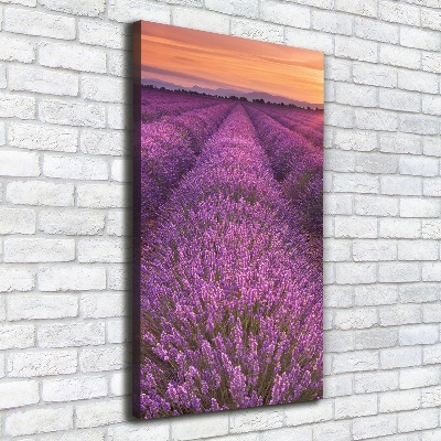 Cuadro moderno en lienzo resistente uv vertical campo de lavanda