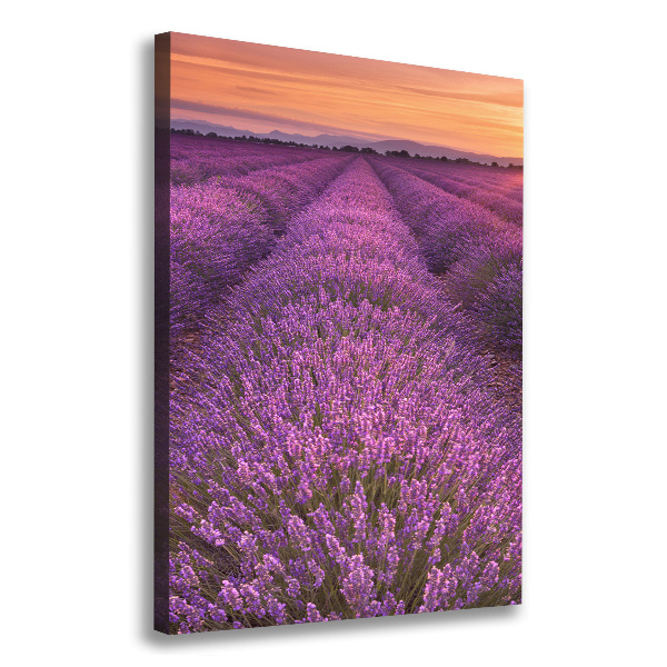 Cuadro moderno en lienzo resistente uv vertical campo de lavanda