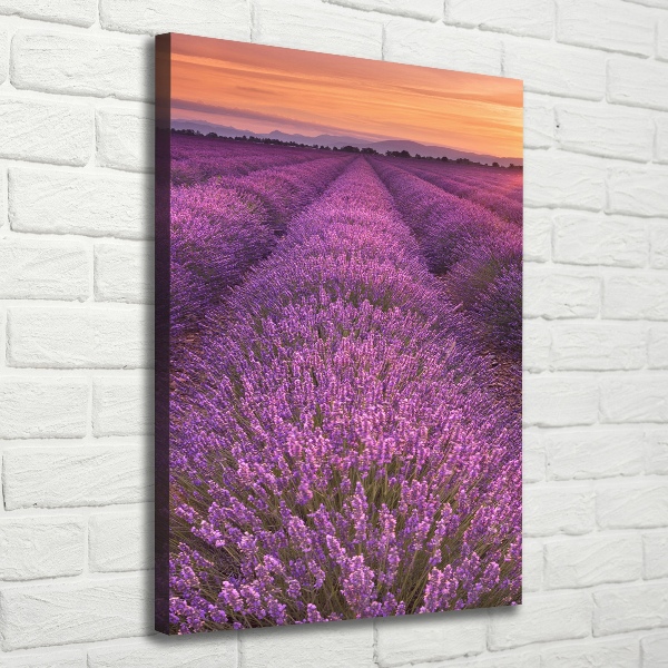 Cuadro moderno en lienzo resistente uv vertical campo de lavanda