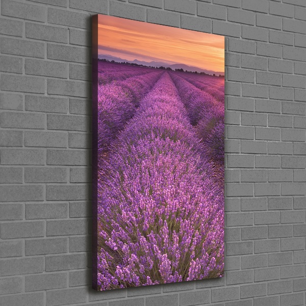 Cuadro moderno en lienzo resistente uv vertical campo de lavanda