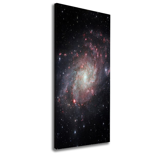 Cuadro canvas decorativo para salón vertical Nebulosa