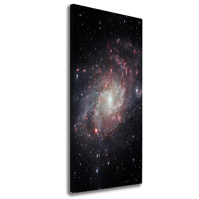 Cuadro canvas decorativo para salón vertical Nebulosa