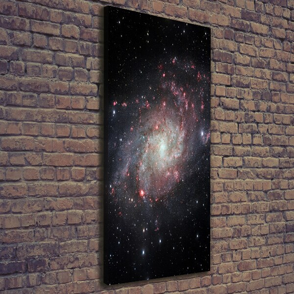 Cuadro canvas decorativo para salón vertical Nebulosa