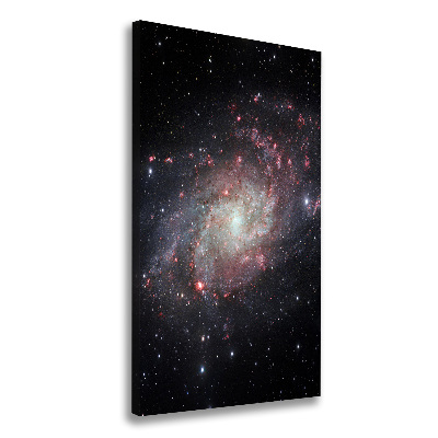 Cuadro canvas decorativo para salón vertical Nebulosa