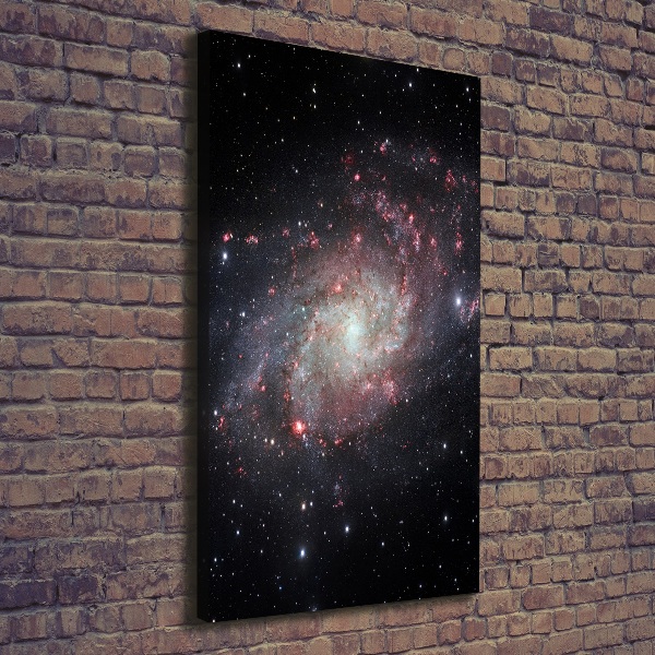 Cuadro canvas decorativo para salón vertical Nebulosa