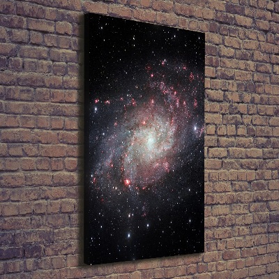 Cuadro canvas decorativo para salón vertical Nebulosa