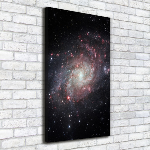 Cuadro canvas decorativo para salón vertical Nebulosa
