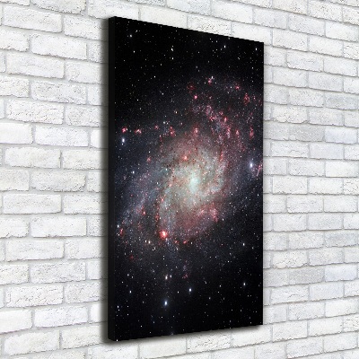 Cuadro canvas decorativo para salón vertical Nebulosa