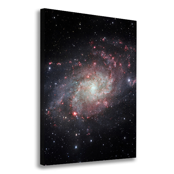 Cuadro canvas decorativo para salón vertical Nebulosa