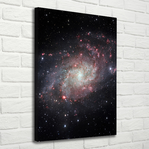 Cuadro canvas decorativo para salón vertical Nebulosa