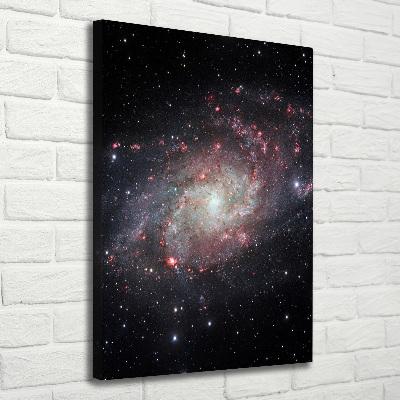 Cuadro canvas decorativo para salón vertical Nebulosa