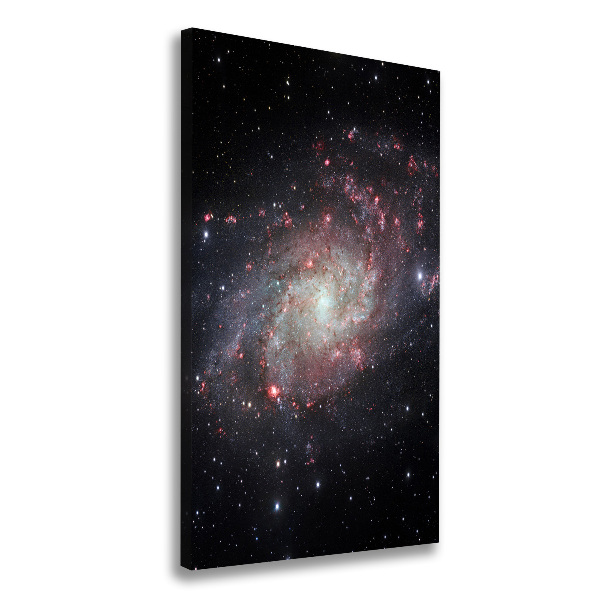 Cuadro canvas decorativo para salón vertical Nebulosa