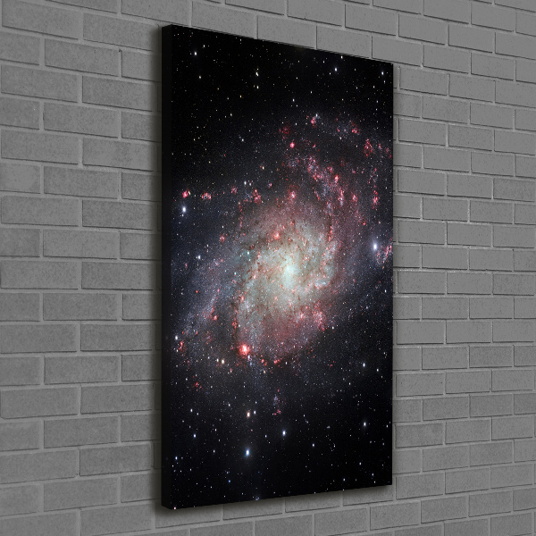Cuadro canvas decorativo para salón vertical Nebulosa