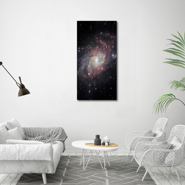 Cuadro canvas decorativo para salón vertical Nebulosa