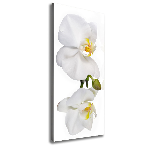 Cuadro canvas decorativo para salón vertical Orquídea blanca