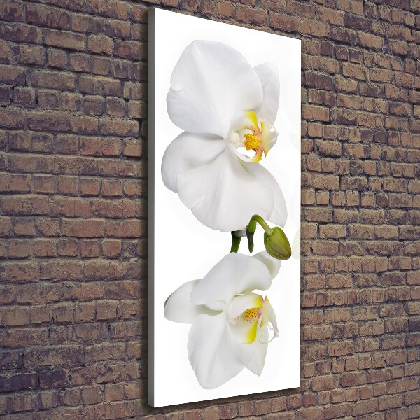 Cuadro canvas decorativo para salón vertical Orquídea blanca