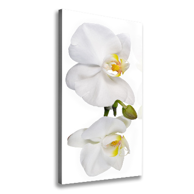 Cuadro canvas decorativo para salón vertical Orquídea blanca