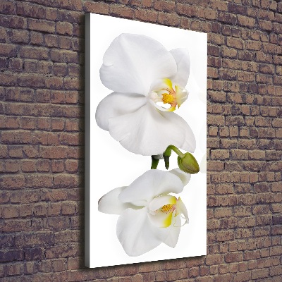 Cuadro canvas decorativo para salón vertical Orquídea blanca