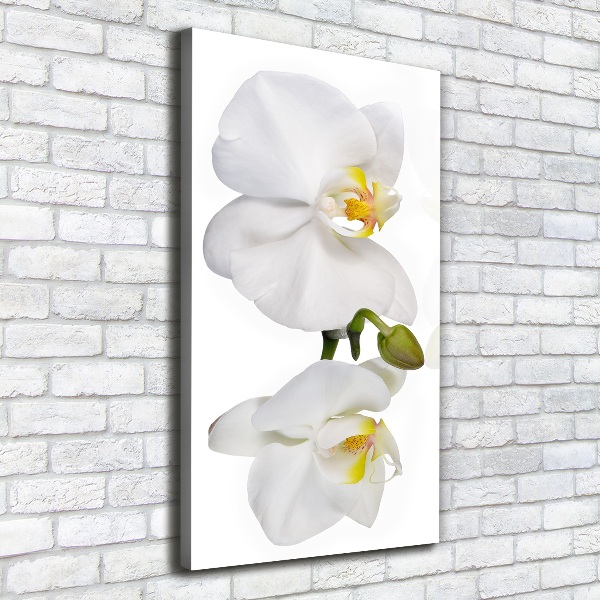 Cuadro canvas decorativo para salón vertical Orquídea blanca