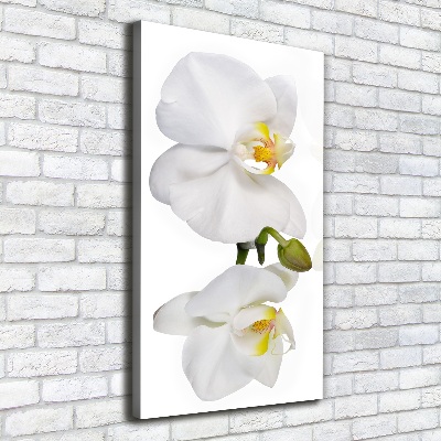 Cuadro canvas decorativo para salón vertical Orquídea blanca