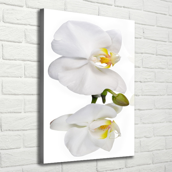 Cuadro canvas decorativo para salón vertical Orquídea blanca