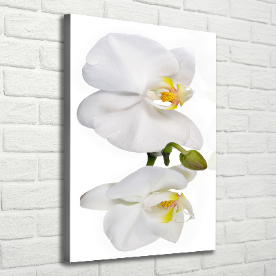 Cuadro canvas decorativo para salón vertical Orquídea blanca