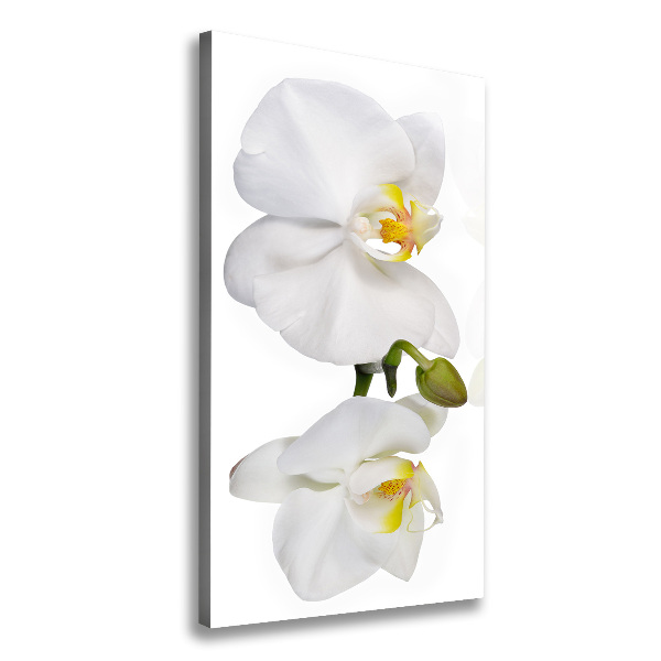 Cuadro canvas decorativo para salón vertical Orquídea blanca