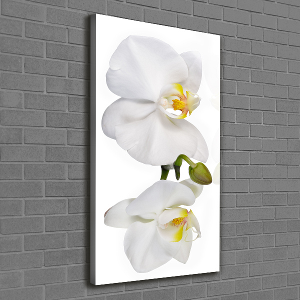 Cuadro canvas decorativo para salón vertical Orquídea blanca