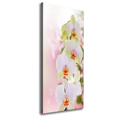 Cuadro moderno en lienzo resistente uv vertical Orquídea blanca