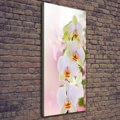 Cuadro moderno en lienzo resistente uv vertical Orquídea blanca