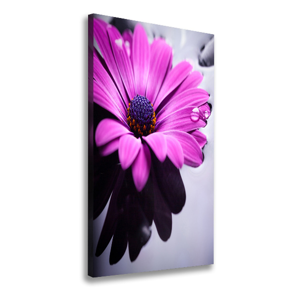 Cuadro canvas decorativo para salón vertical Gerbera rosa
