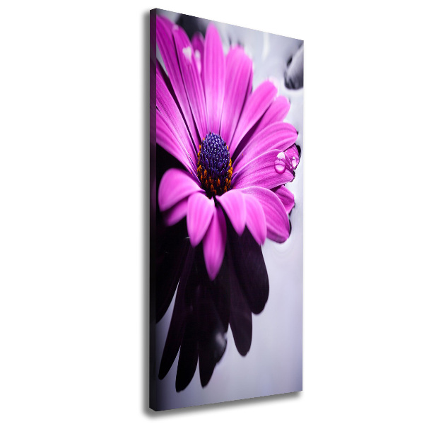 Cuadro canvas decorativo para salón vertical Gerbera rosa
